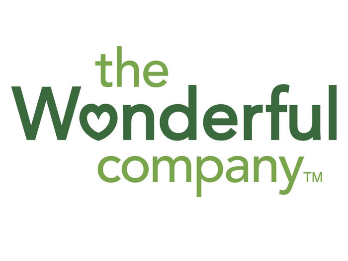 wonderful company logo