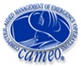 cameo