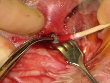 30lck9i