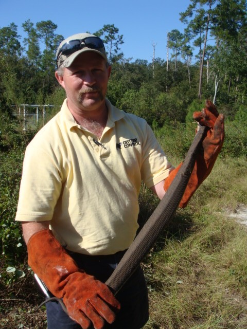 DSC00265