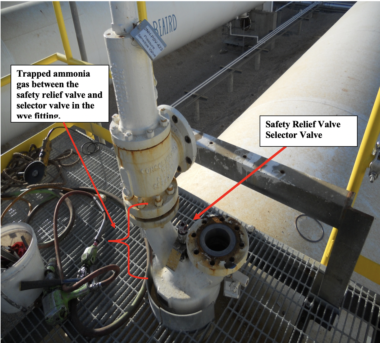 NH3 Gibson Picture2