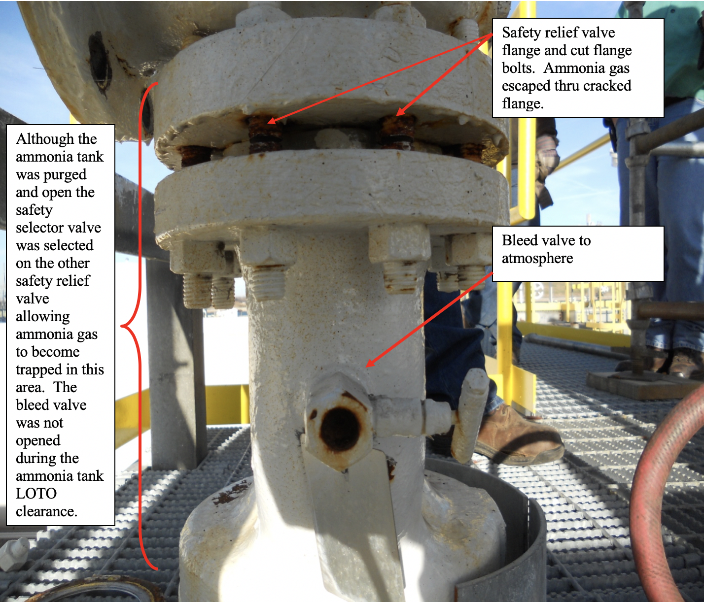 NH3 Gibson Picture3