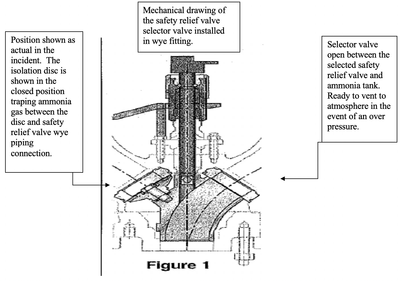 NH3 Gibson Picture4