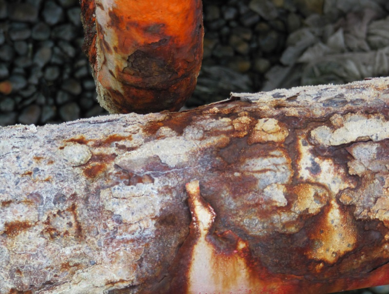 NH3 external pipe corrosion from condenser water3