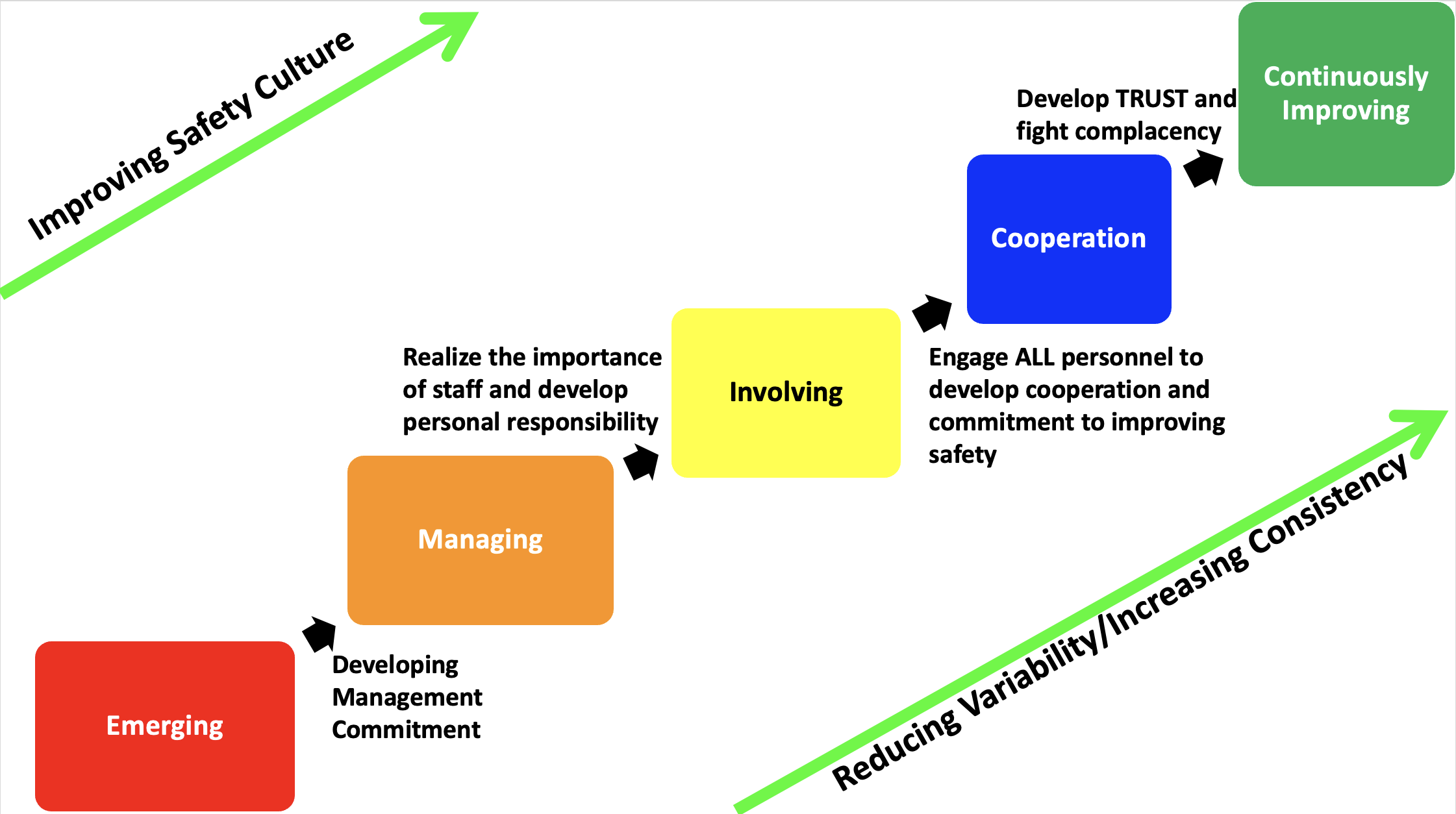 Fleming culture ladder