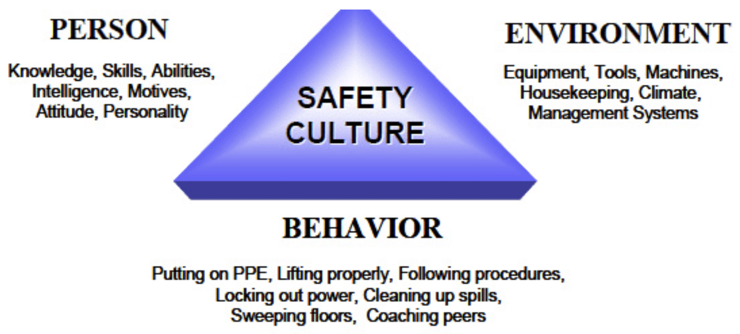 Geller Culture Triangle