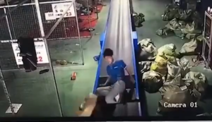 Worker Caught in Conveyor Nip Point (Graphic)