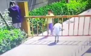 Gate Grabs Child