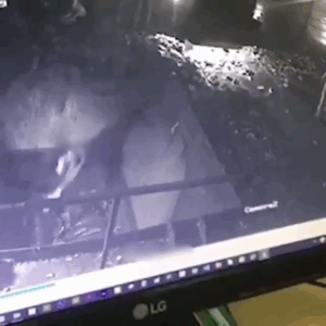 Worker Falls into Metal Scrapper_GRAPHIC