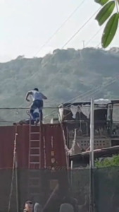 Two Workers Electrocuted_1 was an attempted rescue_GRAPHIC